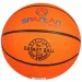 Pallacanestro taglia 5 Florida - Spartan
