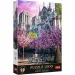 Parigi, Notre Dame puzzle premium da 1000 pezzi - Trefl