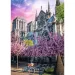 Parigi, Notre Dame puzzle premium da 1000 pezzi - Trefl