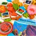 Parks: gioco da tavolo, 2ª edizione immagine 4