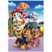 Paw Patrol Supercolor puzzle da 104 pezzi - Clementoni