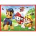 Paw Patrol puzzle e gioco di memoria 2 in 1 - Trefl