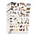 PlayBox: Adesivi con animali da fattoria, confezione da 300 pezzi