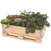 PlayBox: Cassa in legno per pallet 18x28x8,65 cm
