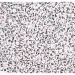 PlayBox: Perline speciali con lettere 300 pezzi 7mm