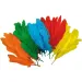 PlayBox: Piume di tacchino colorate decorative 120 pezzi