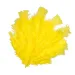 PlayBox: Piume di tacchino decorative gialle confezione da 48 pezzi