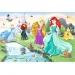 Principesse Disney: Incontro con le principesse puzzle da 60 pezzi - Trefl