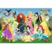 Principesse Disney: Puzzle Principesse Incantevoli 100 pezzi - Trefl