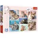 Puzzle 100 pezzi con gatti - Trefl