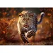Puzzle 1000 pezzi Leopardo Premium Plus - Trefl