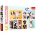 Puzzle 160 pezzi - Amicizia del cane - Trefl