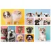 Puzzle 160 pezzi - Amicizia del cane - Trefl