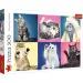 Puzzle 500 pezzi con gatti - Trefl
