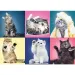 Puzzle 500 pezzi con gatti - Trefl