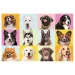 Puzzle 60 pezzi con cagnolini carini - Trefl
