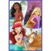 Puzzle Disney+principesse amiche 3x80 pezzi - Trefl