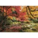 Puzzle HQC da 1500 pezzi, 84,5x59,5 cm - Clementoni, in autunno al parco.