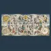 Puzzle UFT da 9000 pezzi con antiche mappe astronomiche - Trefl