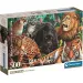 Puzzle compatto 500 pezzi HQC Grandi Felini - Clementoni