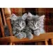 Puzzle compatto HQC 500 pezzi con gatti grigi - Clementoni