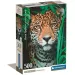 Puzzle compatto da 500 pezzi Jaguar HQC - Clementoni
