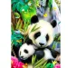 Puzzle con diamanti: Set di pittura con diamanti Panda 40x50 cm