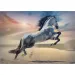 Puzzle da 1000 pezzi "Cavallo maestoso" - Trefl
