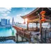 Puzzle da 1000 pezzi di Chongqing, Cina - Trefl