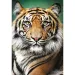 Puzzle da 1500 pezzi con ritratto di tigre - Trefl