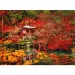 Puzzle da 500 pezzi "Misterioso Oriente" - Clementoni