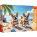 Puzzle di 100 pezzi con cagnolini Corgi – Trefl