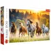 Puzzle di 1500 pezzi con cavalli selvaggi - Trefl