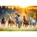 Puzzle di 1500 pezzi con cavalli selvaggi - Trefl