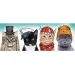 Puzzle panoramico 500 pezzi - Trefl