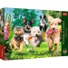 Puzzle premium da 1000 pezzi "Kutyabrigád" - Trefl