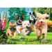 Puzzle premium da 1000 pezzi "Kutyabrigád" - Trefl