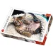 Puzzle premium da 1000 pezzi con gattino allegro - Trefl