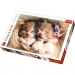 Puzzle premium da 500 pezzi con gattini che dormono - Trefl