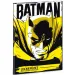 Quaderno delle lezioni di Batman A/5