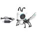 RoboDongo interattivo