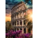 Roma, Colosseo puzzle premium 1000 pezzi - Trefl