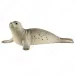 Schleich: Figura di foca (14801)