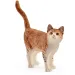 Schleich: Figura di gatto domestico (13836)