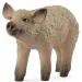 Schleich: Figura di maialino Mangalica (14893)