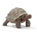 Schleich: Figura di tartaruga gigante (14824)