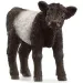 Schleich: Figura di vitello Galloway (13969)
