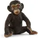 Schleich: Figurina di cucciolo di scimpanzé (14884)