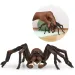 Schleich: Harry Potter Aragog ragno figura (13987)