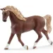 Schleich: Horse Club - Set di gioco Lavaggio di Emily e Luna (42438)